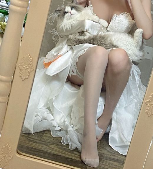 超龙珠英雄
